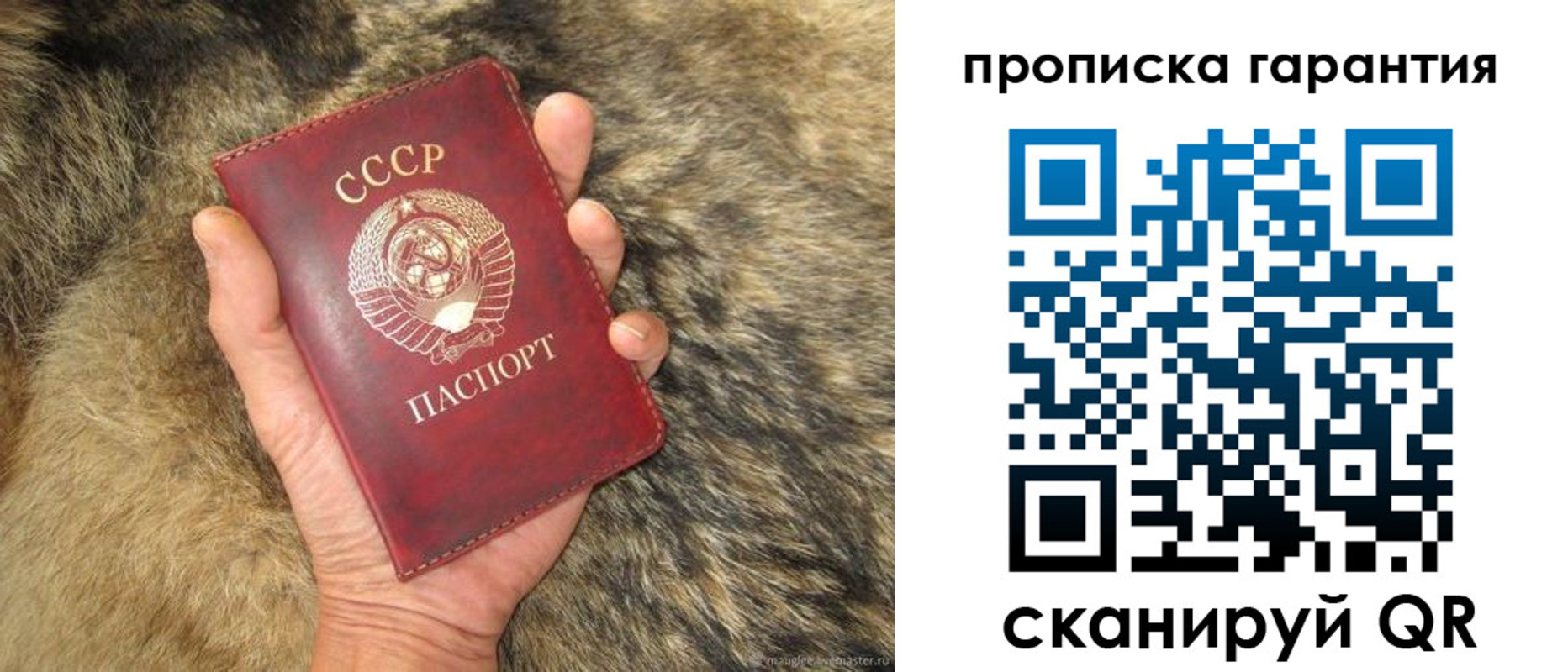 прописка паспорт в Звенигово